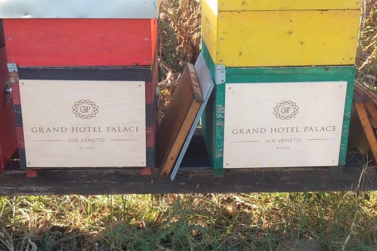 Community impact: Localised beehive sponsorship at Grand Hotel Palace Rome and M Social Hotel Paris supports pollinators while providing an authentic, sustainable breakfast experience for guests.